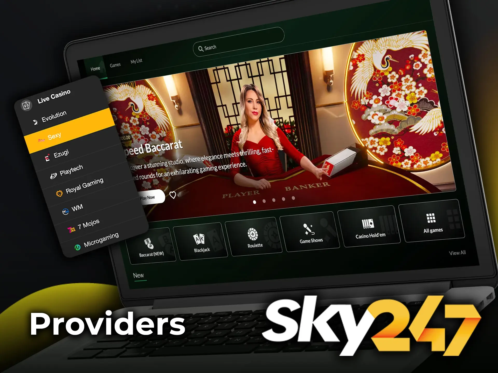 Learn about the available providers at Sky247 Casino and identify the best one for you.