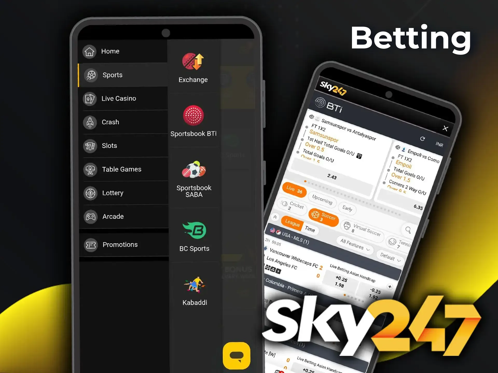 Check out the list of sports disciplines available on the Sky247 betting app.